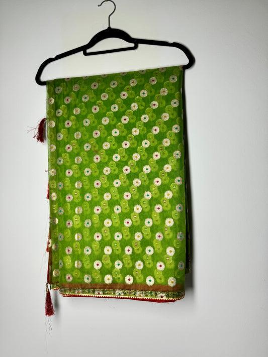 Organza saree