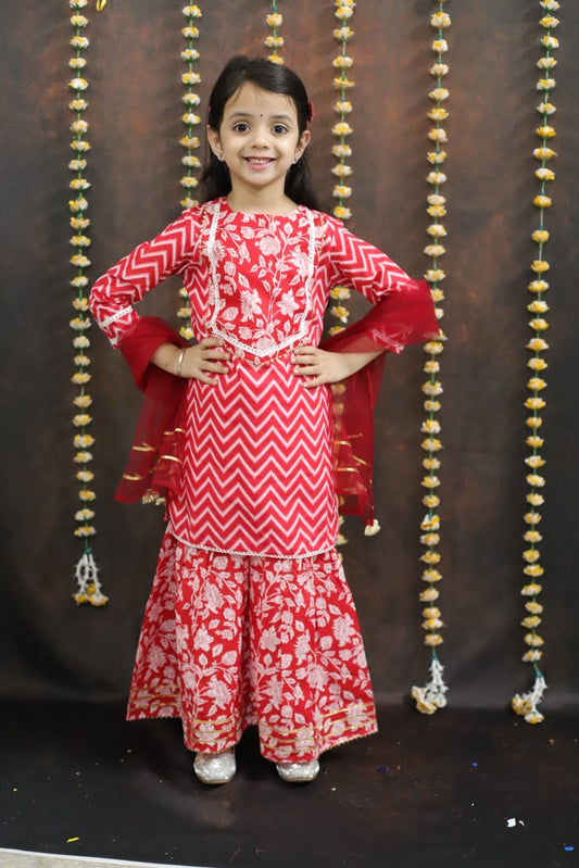 Girls sharara set